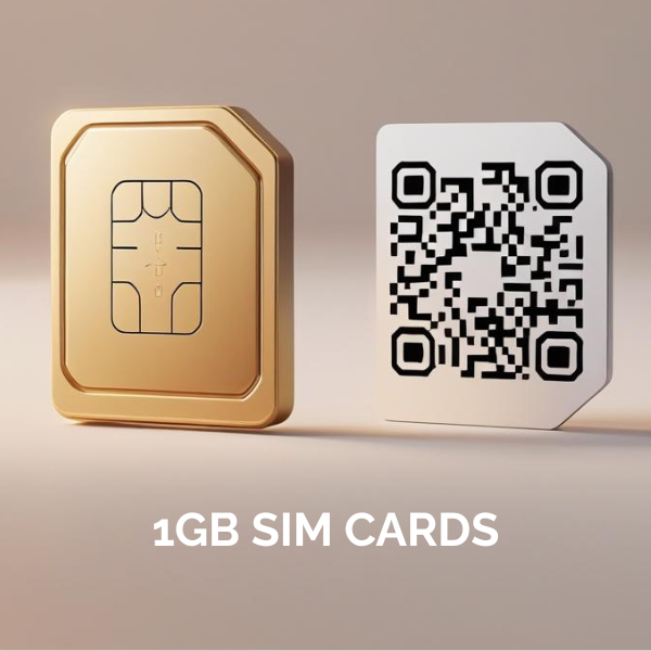 1GB SIM Cards