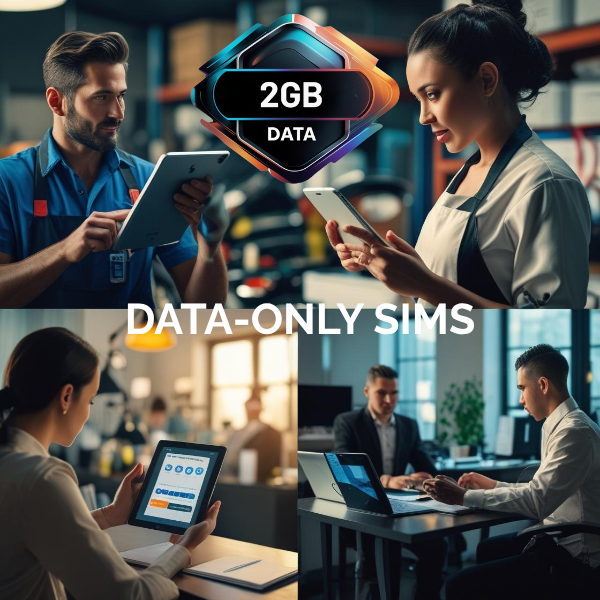 2GB Data Only SIM Cards